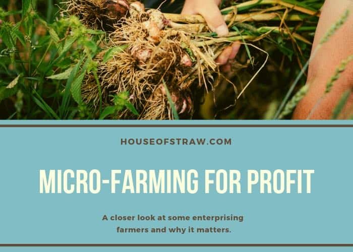 Micro-Farming For Profit